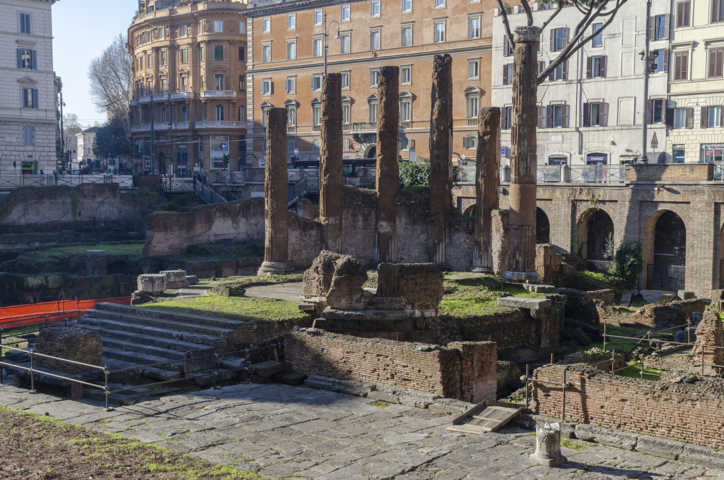 183 - Italia - Roma - plaza de Largo di Torre Argentina - Area Sacra